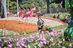 BIB: 
                            <button type="button" onclick="openModal(27793840)" class="btn btn-primary btn-sm float-right btn-popup" data-toggle="modal" data-target=".modal-high-quality">
                        <i class="fas fa-shopping-cart"></i> Add to Cart
                    </button>
                                            <button type="button" onclick="isThisMe(27793840, true)" class="btn btn-success btn-sm float-right btn-popup btn-isme hidden" data-toggle="tooltip" data-placement="bottom" title="นี่คือรูปของคุณใช่ไหม คลิกที่นี่เพื่อเอาเข้าอัลบั้ม">
                        <i class="fas fa-plus"></i> Add to album
                    </button>
                    <button type="button" onclick="isThisMe(27793840, false)" class="btn btn-warning btn-sm float-right btn-popup btn-isnotme hidden">
                        <i class="fas fa-ban"></i> Remove from album
                    </button>